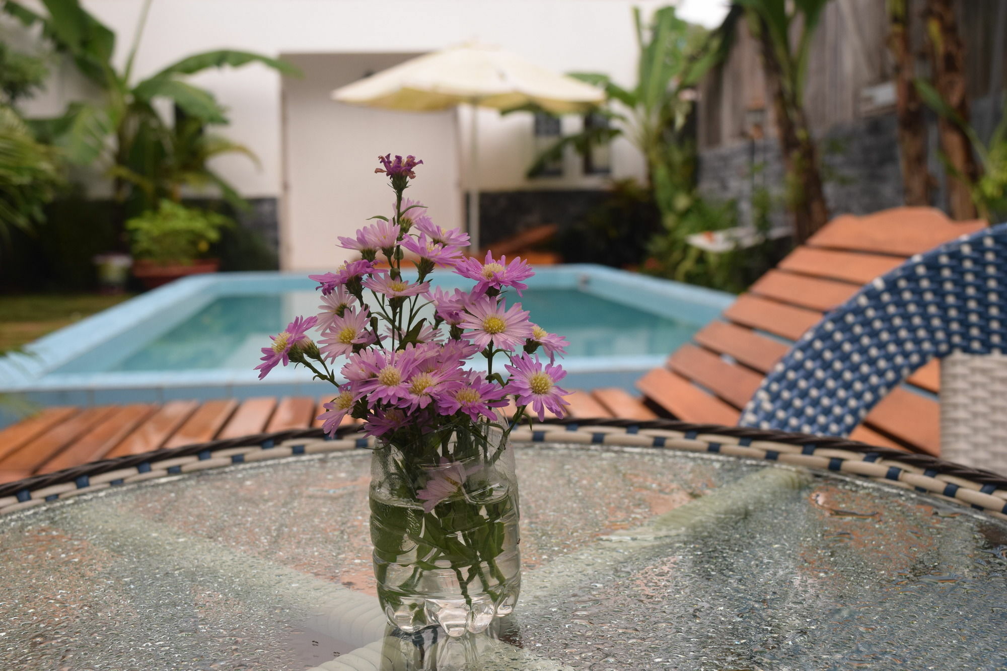 Orchid Guesthouse Phu Quoc Dış mekan fotoğraf